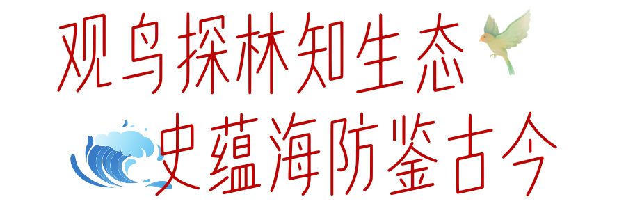 31208c82a6a7432f94891d347dedacdc.png
