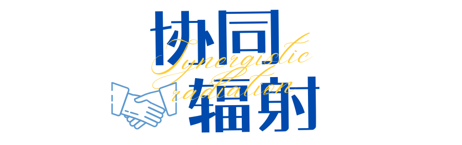 7c78e9dc38c84227ba232f49782516c8.png