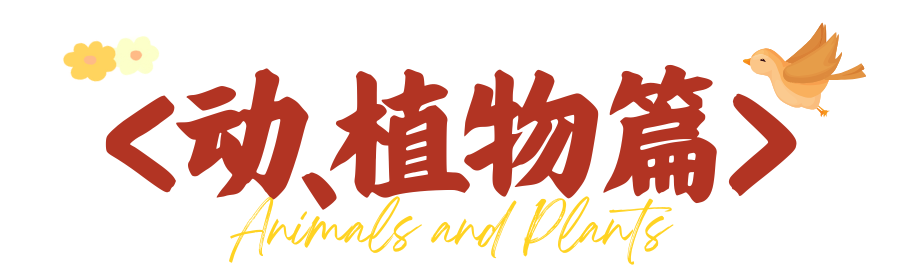 ec6395d3634c48c4b7f65fee5fc6f158.png