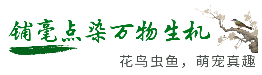 8c7de98a8bf9441c9b3c34226f8a5c0c.png
